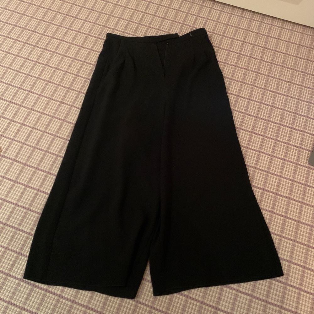 Aritzia BABATON pants